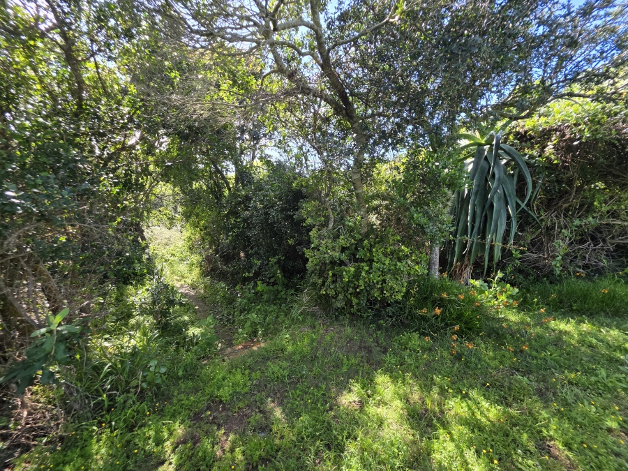 4 Bedroom Property for Sale in Boknesstrand Eastern Cape